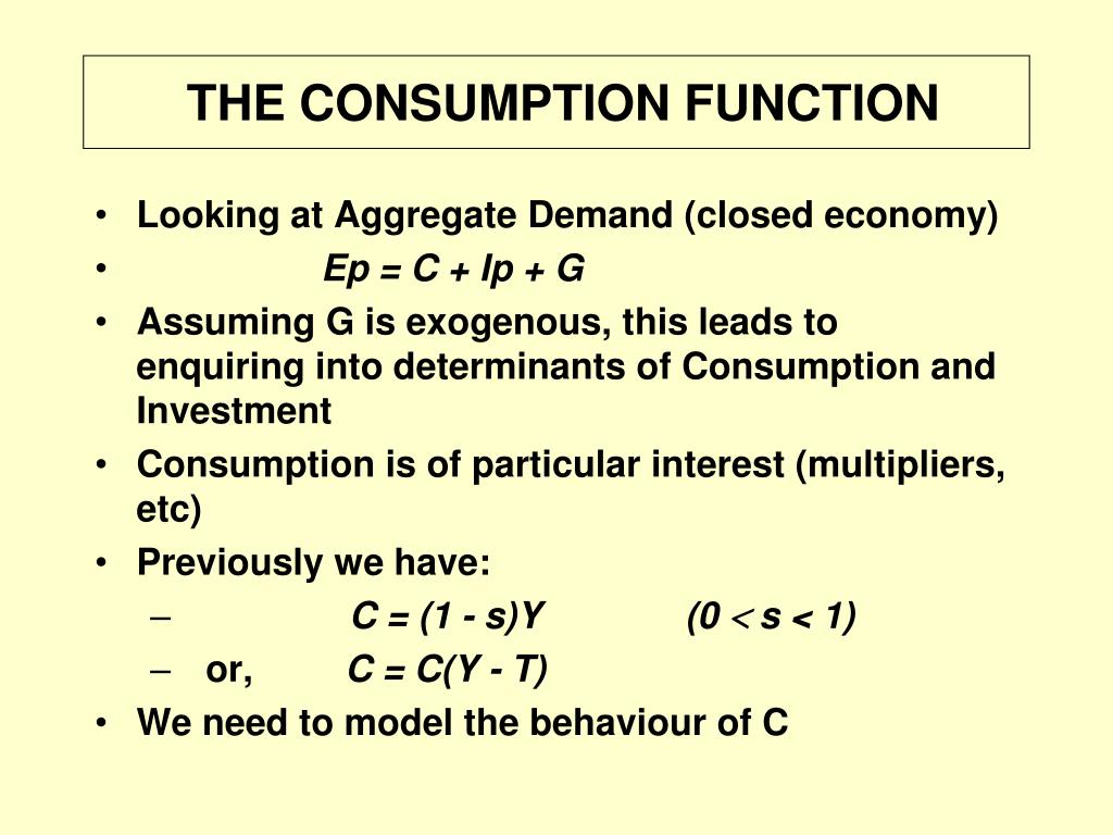 consumption function essay