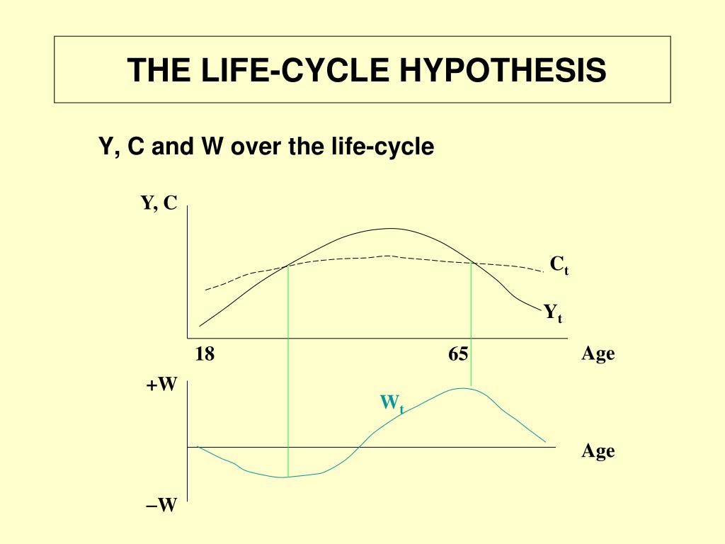 life cycle hypothesis consumption function
