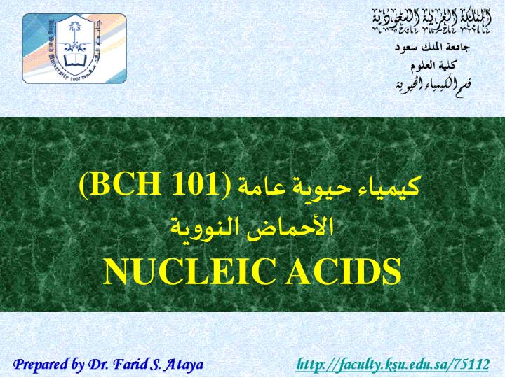 Ppt كيمياء حيوية عامة Bch 101 الأحماض النووية Nucleic Acids Powerpoint Presentation Id 3449582