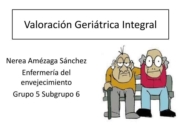 PPT - Valoración Geriátrica Integral PowerPoint Presentation, Free ...