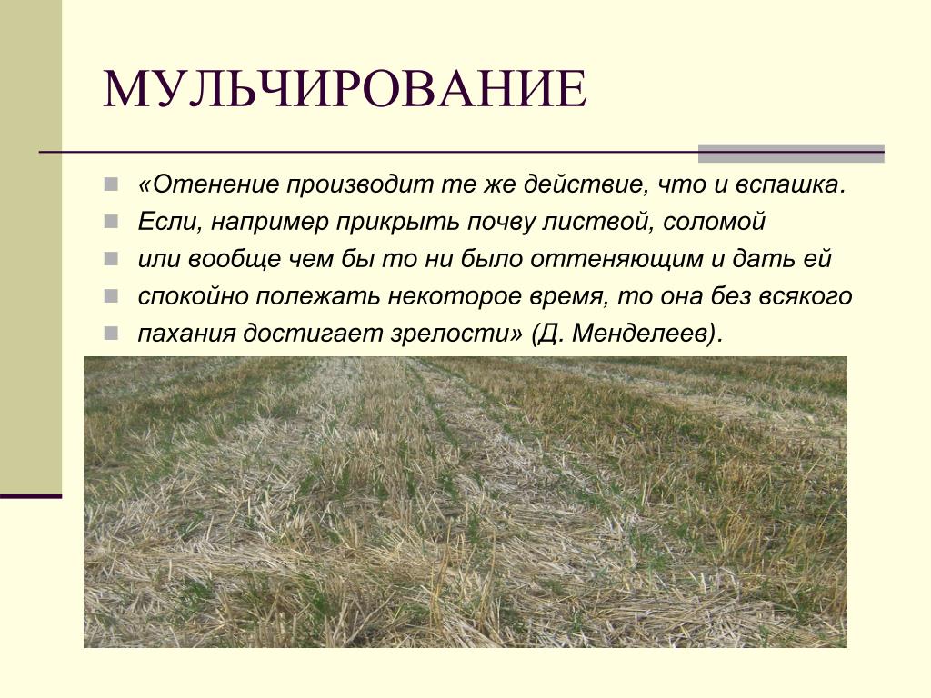 Какие почвы характерны для татарстана Какие почвы характерны для татарстана