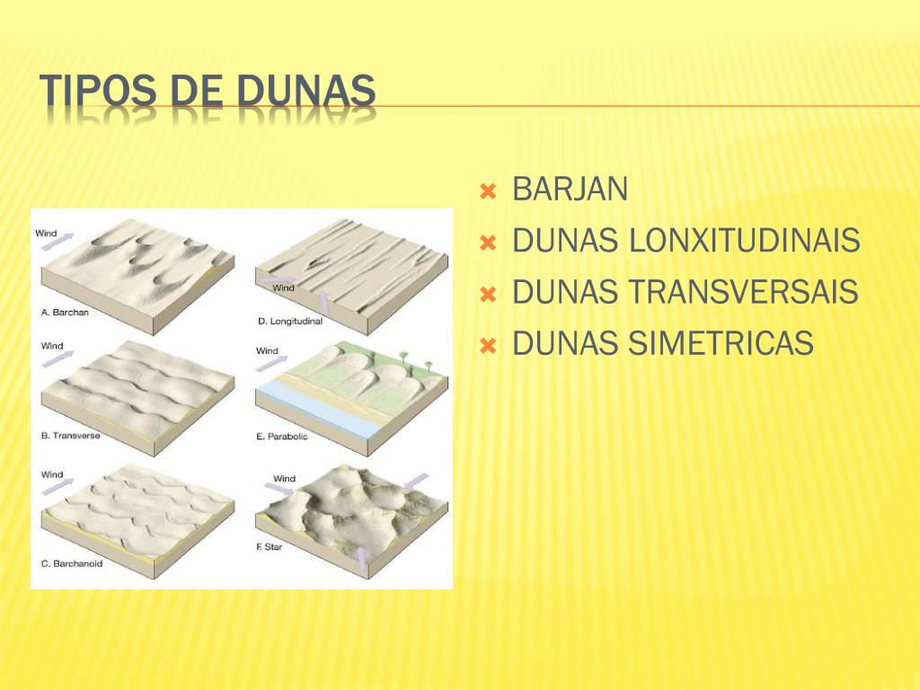 PPT O Deserto PowerPoint Presentation Free Download ID 3452738 PPT O Deserto PowerPoint Presentation Free Download ID 3452738