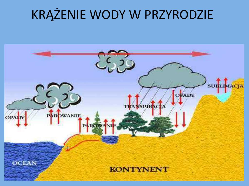 Obieg Wody W Przyrodzie Scenariusz Lekcji PPT - OBIEG WODY W PRZYRODZIE PowerPoint Presentation, free download