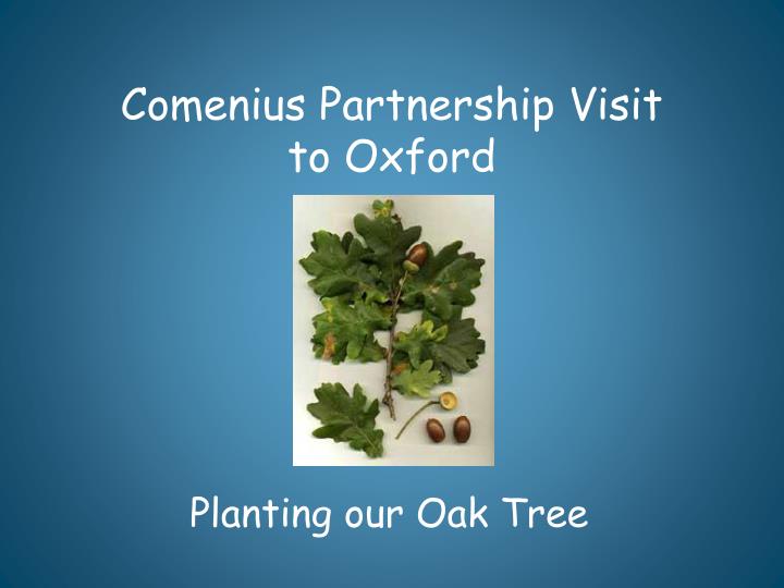 comenius partnership visit to oxford n.