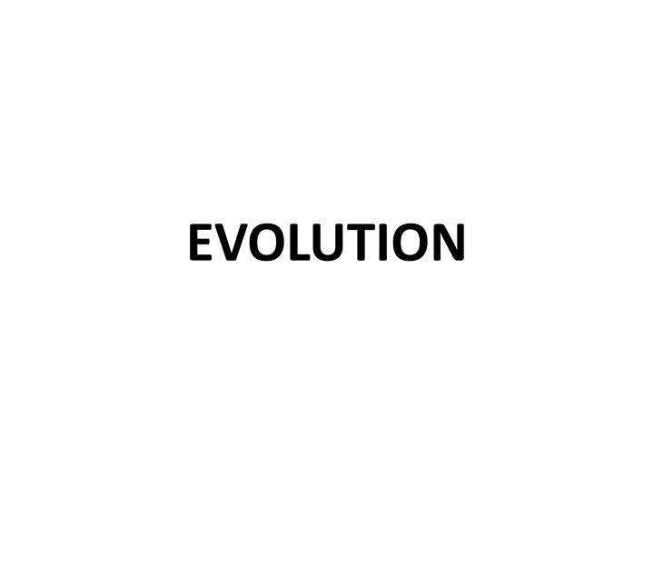 evolution n.