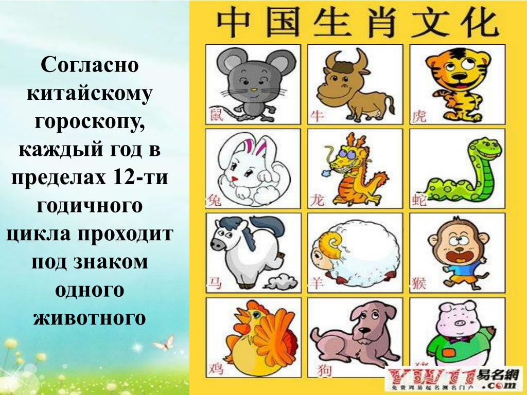 Годы со зверями. Китайский гороскоп животные. Животные китайского календаря. Знаки зодиака по годам. 12 Знаков года.