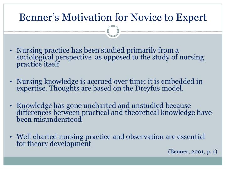 patricia benner novice to expert pdf