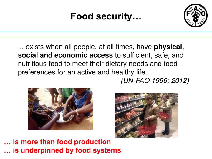presentation about food security