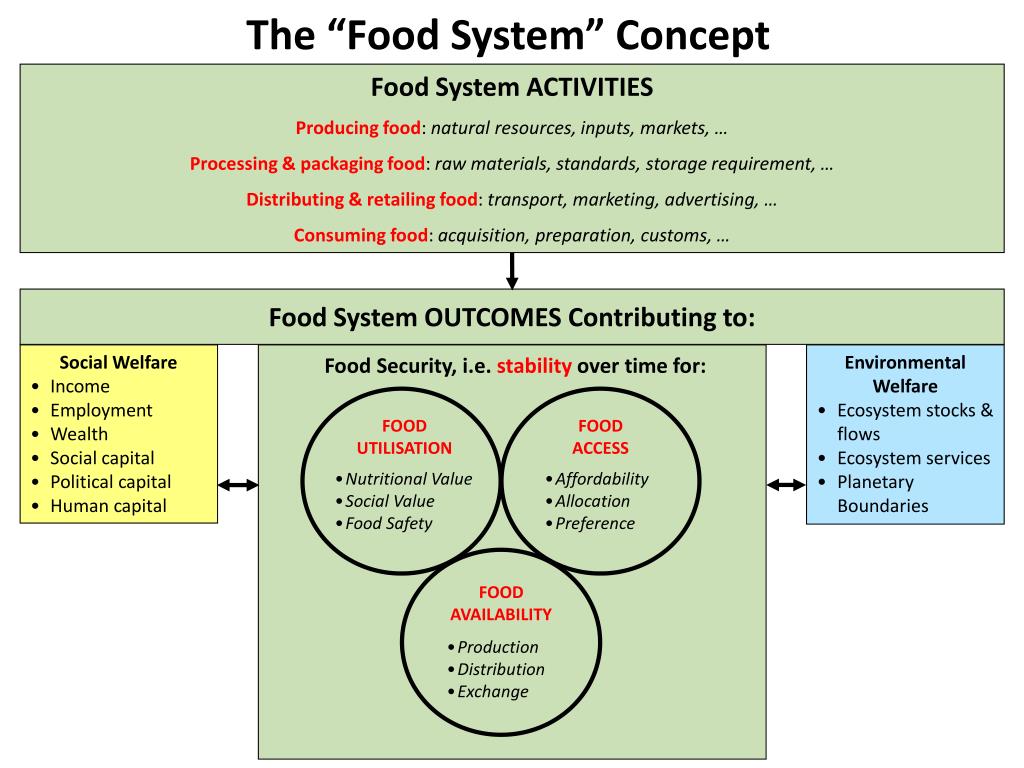 Система фуд. Food Security картинка. Food Security solution. Causes of food Security. Effects of food Security.