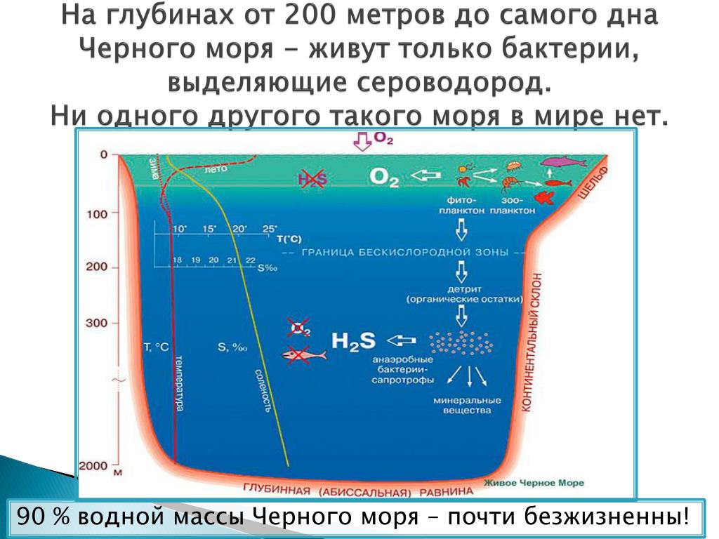 Сероводород в черном море