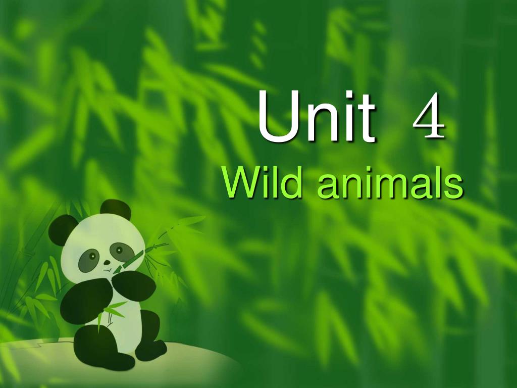 PPT - Unit ４ Wild animals PowerPoint Presentation, free download -  ID:3468217