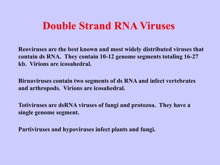 Ppt Double Strand Rna Viruses Powerpoint Presentation Free Download Id