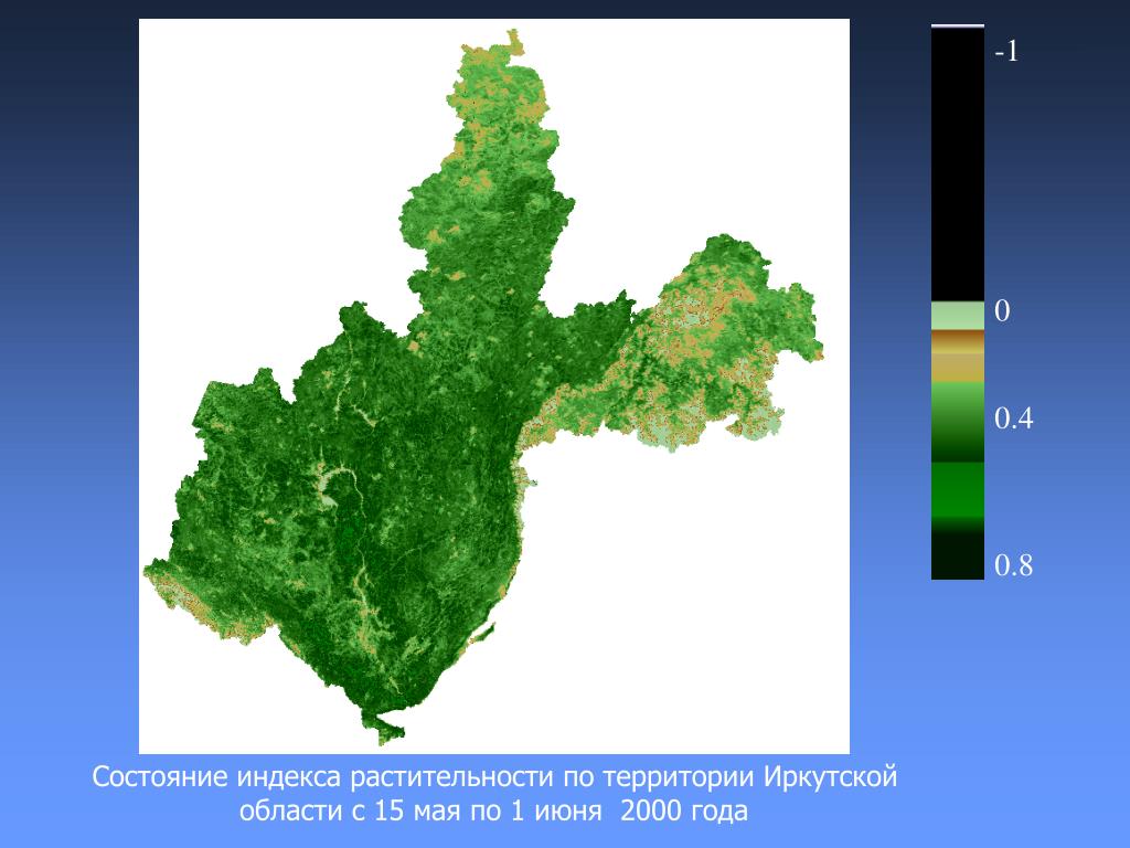 Территория иркутской. Растения на территории Иркутской области. Карта растительности Иркутской области. Индексы растительности. Растительные территории.