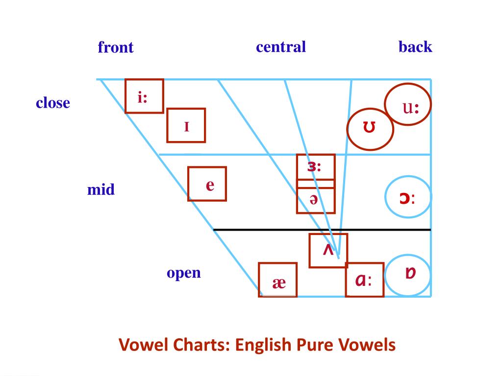 PPT Vowels Front Vowels Central Vowels PowerPoint Presentation 