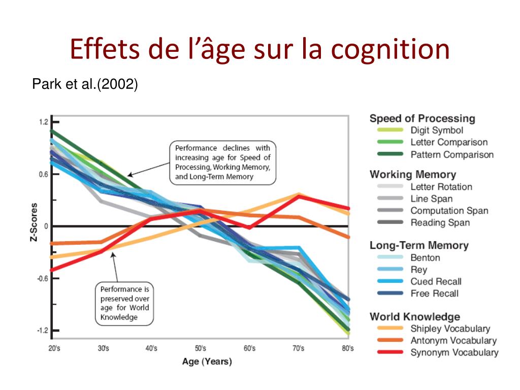 PPT Plasticité neuronale et cognitive dans le vieillissement humain — free download
