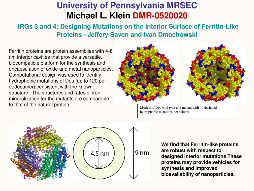 ppt models of dps wild type and mutant with 10 designed