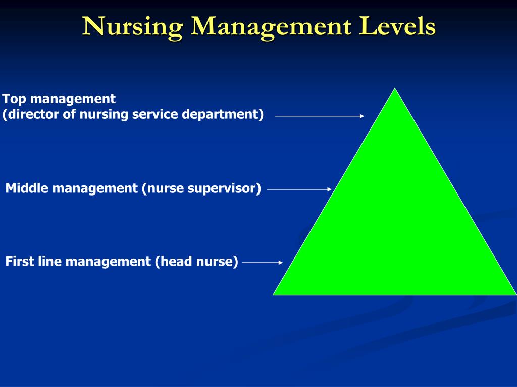 PPT Role of the Head Nurse PowerPoint Presentation, free download