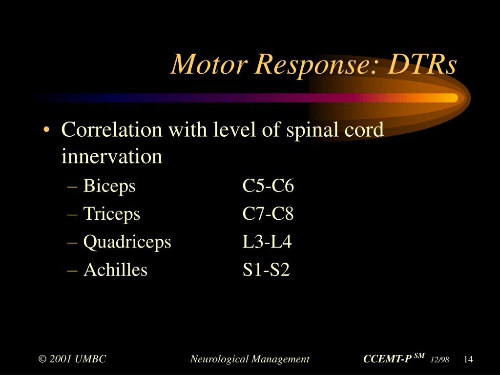 cniii compression and fixed dilated pupil cniii compression and fixed dilated pupil