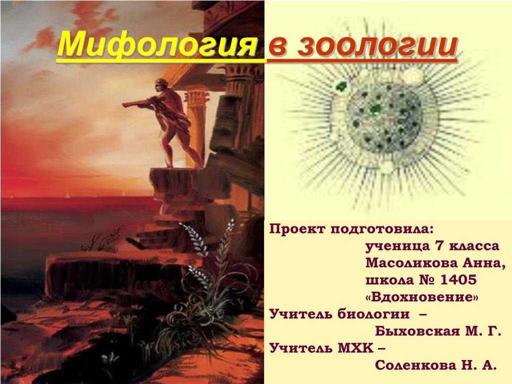 Профессия изучения животных - найдено 89 фотографий
