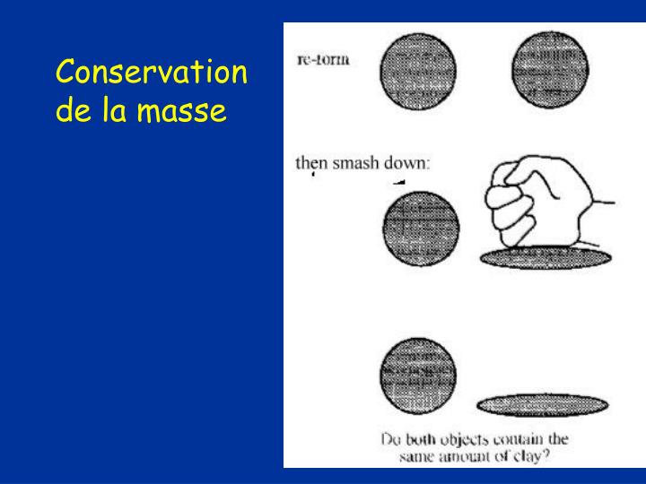 La Masse Se Conserve T Elle Lors D'une Dissolution