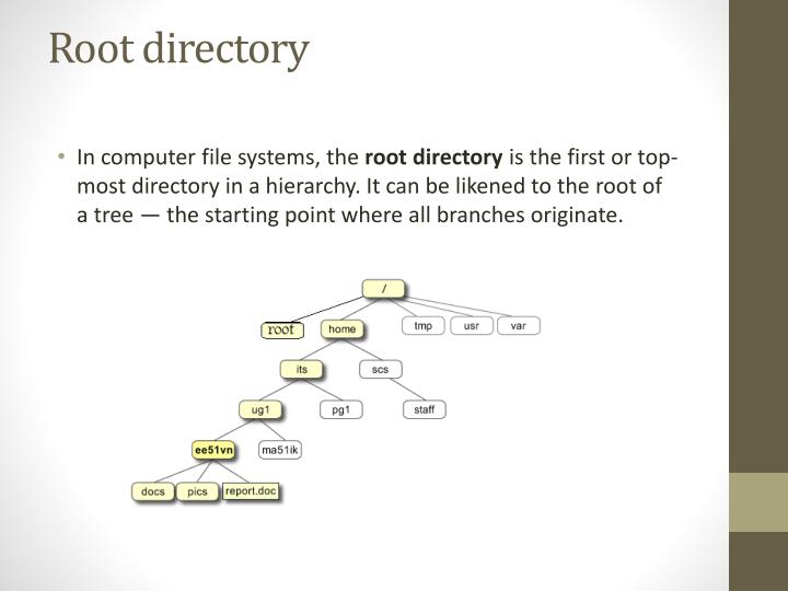 PPT - Root directory PowerPoint Presentation, free download - ID:3480377