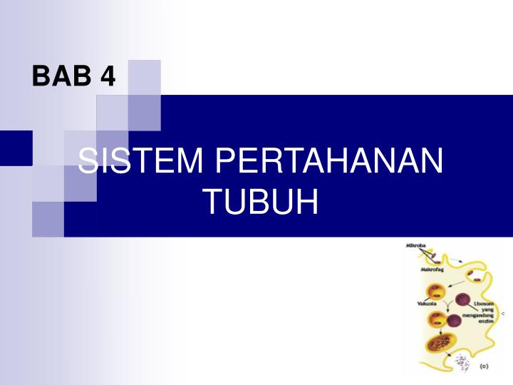 Ppt Sistem Pertahanan Tubuh Powerpoint Presentation Free Download Id 3484919
