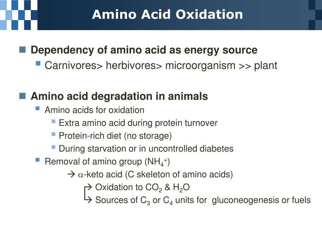 PPT Chapter 18 Amino Acid Oxidation and The Production of Urea PowerPoint Presentation ID