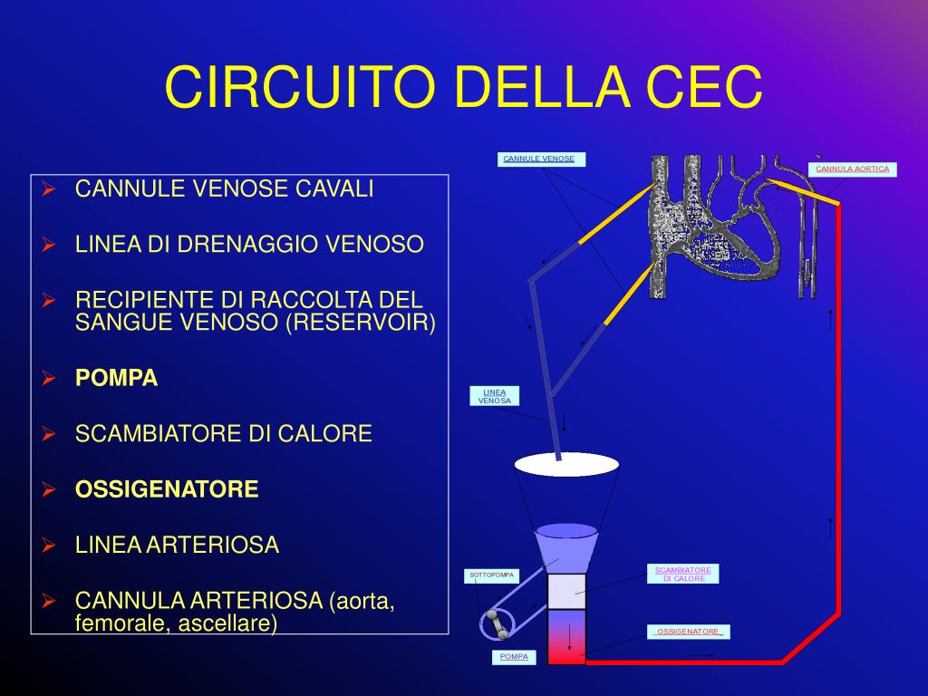 PPT La Circolazione Extra Corporea CEC PowerPoint Presentation 