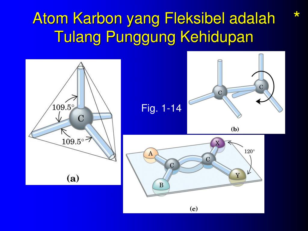 Struktur Atom Peranan Atom Karbon Dalam Mengakibatkan Banyak Ragam My