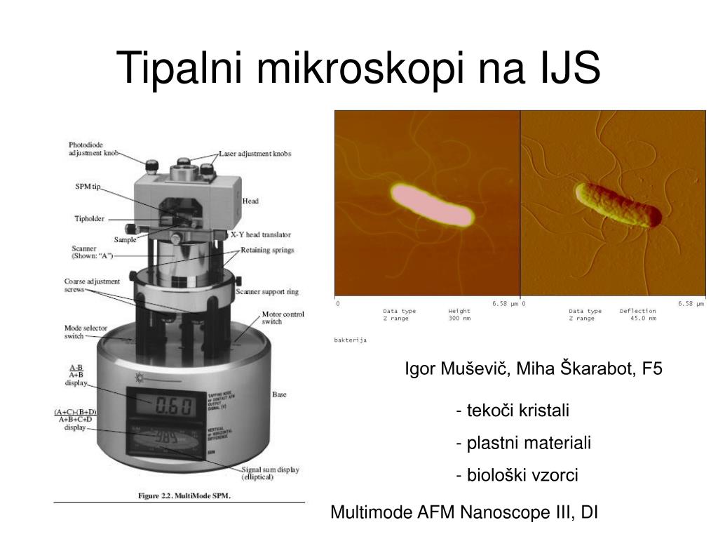 PPT - Opazovanje atomov s tipalnimi mikroskopi PowerPoint Presentation -  ID:3489035
