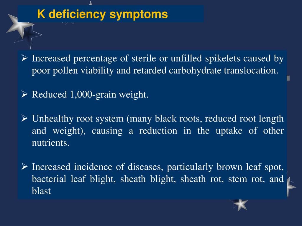 Potassium Deficiency In Rice PPT - RLO 4 Lesson: Role and deficiency symptoms of potassium (K) in ...