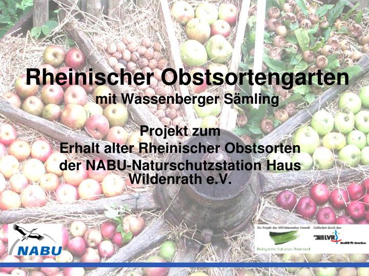 Ppt Rheinischer Obstsortengarten Mit Wassenberger Samling