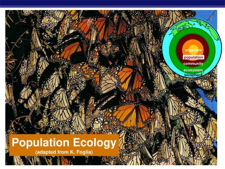 PPT Population Ecology Adapted From K Foglia PowerPoint