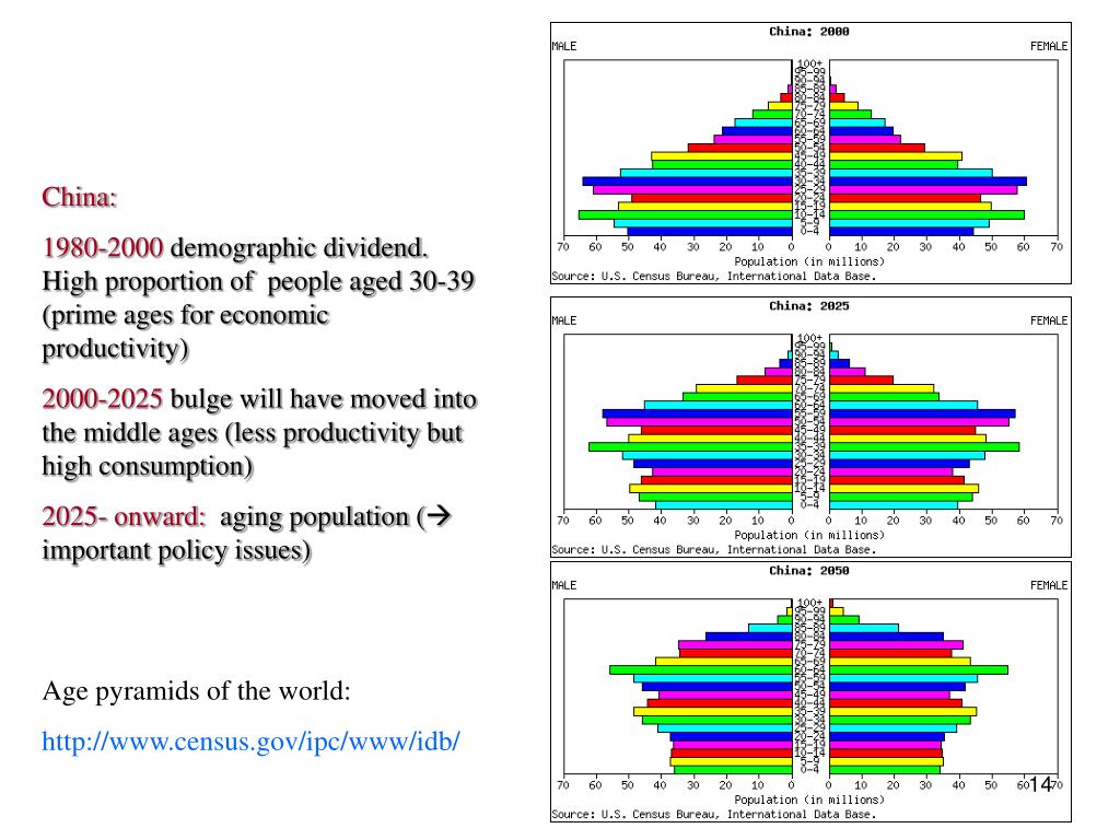 PPT - Population Theories Population structure and aging PowerPoint ...