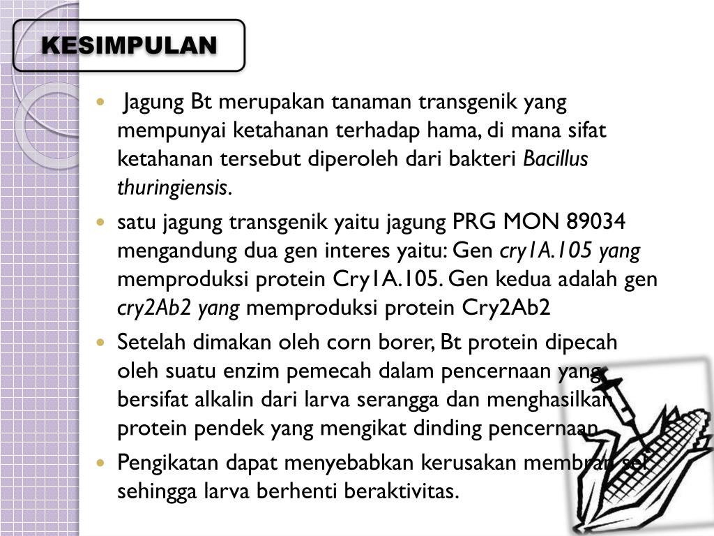 Ppt Makalah Pengantar Bioteknologi Dalam Proteksi Tanaman Jagung Transgenik Yang Mengandung Gen Bt Powerpoint Presentation Id 3492040