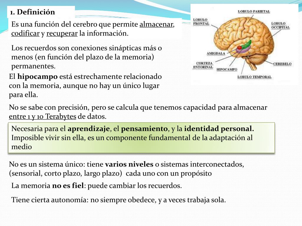 PPT - Tema 7: la memoria humana PowerPoint Presentation, free download