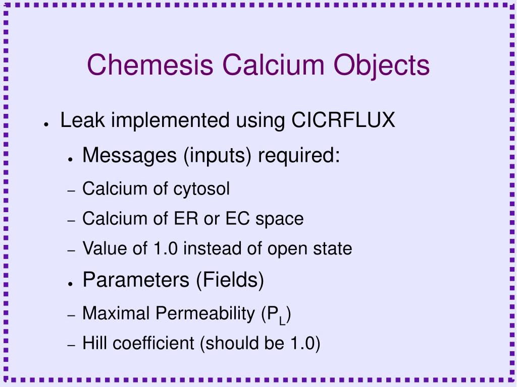 PPT - Computational Modelling of Calcium Concentration Dynamics in ...