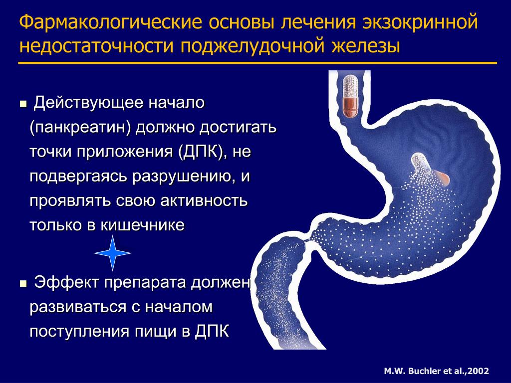 Панкреатическая недостаточность у детей презентация