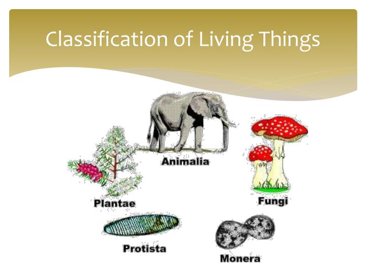 classification of living things n.