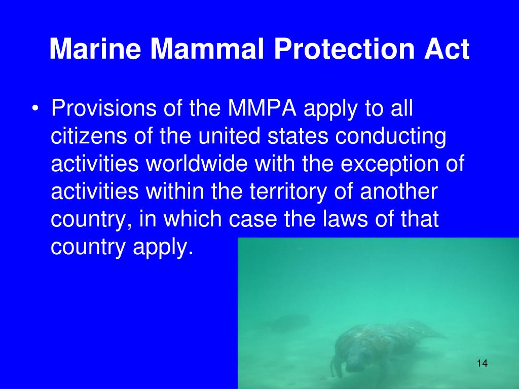 PPT - Marine Mammal Protection Act of 1972 PowerPoint Presentation