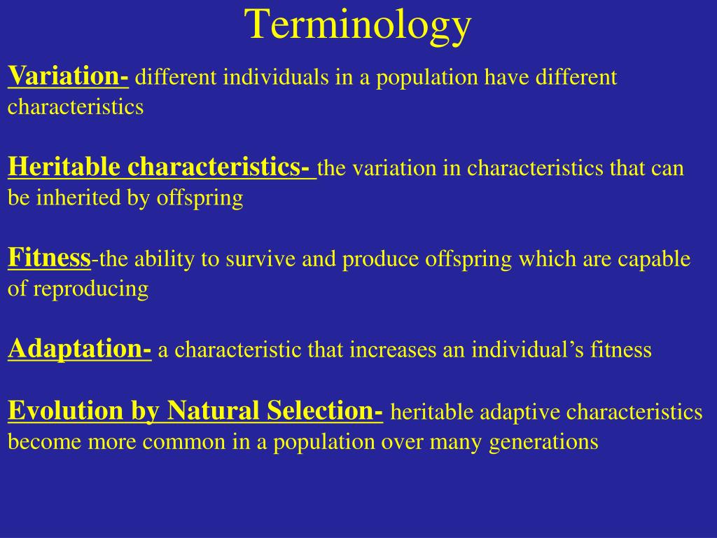 PPT - Terminology PowerPoint Presentation, free download ...