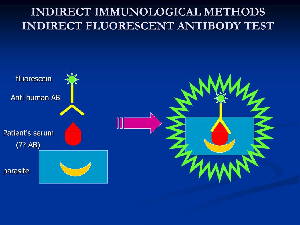 PPT Laboratory Diagnosis of parasitic infections PowerPoint