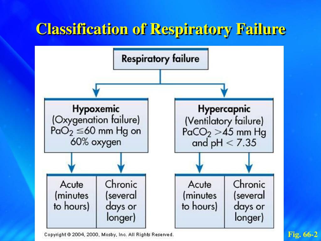 Failure during. Type 2 Respiratory failure. Respiratory failure classification. Chronic Respiratory failure. Classification of Respiratory System.
