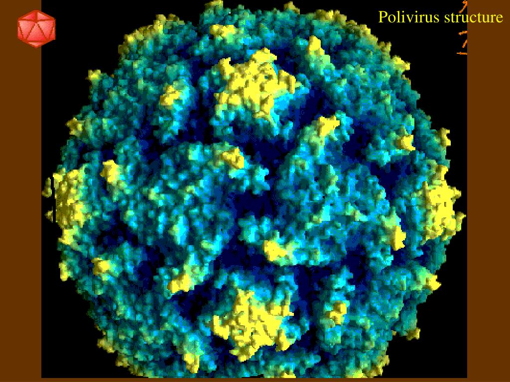 meaning of retrovirus