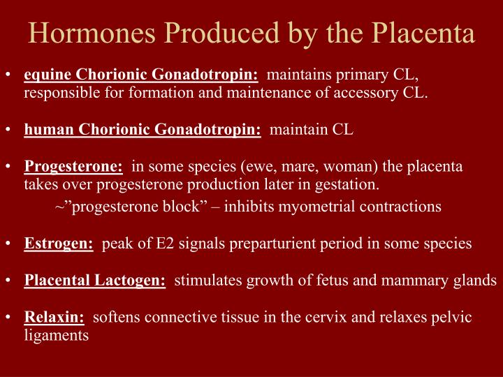PPT Gestation PowerPoint Presentation ID3499378