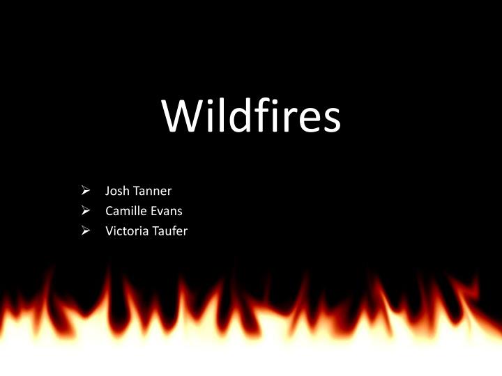 wildfires n.