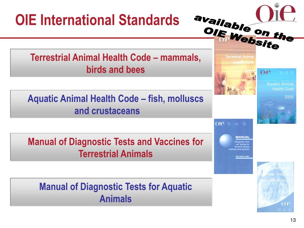 PPT - WORLD ORGANISATION FOR ANIMAL HEALTH (OIE) PowerPoint Presentation -  ID:3499751