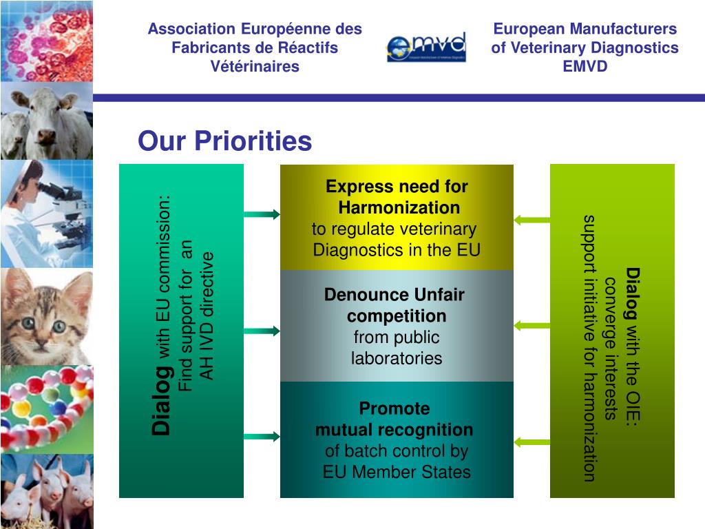 PPT European Manufacturers of Veterinary Diagnostics EMVD PowerPoint