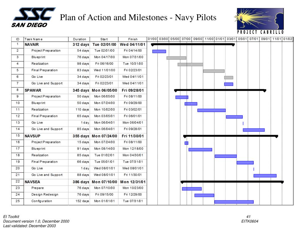 Plan Action Milestones Example Plan Action Milestones Example