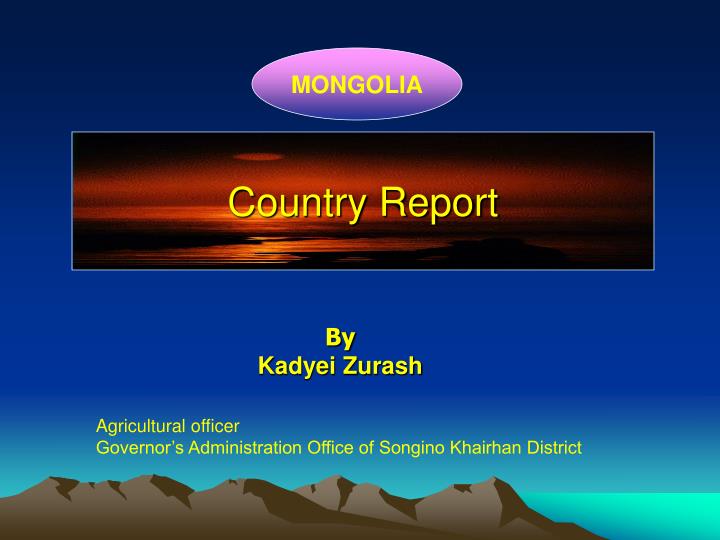 country report n.